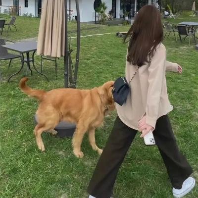 疯狂婚礼周